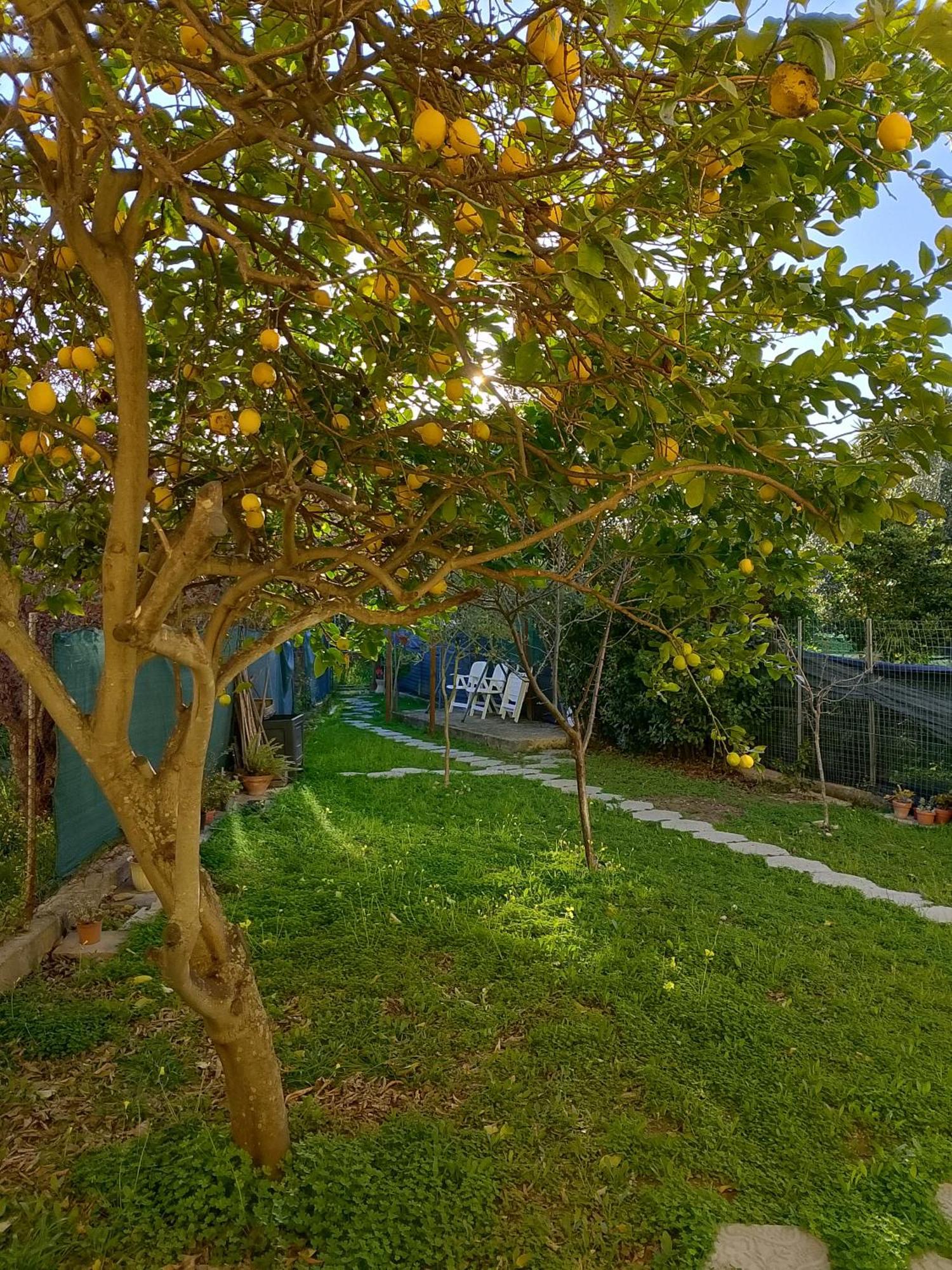 Lo Spicchio B&B Alghero Exterior foto